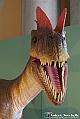 VBS_0983 - Dinosauri. Terra dei giganti